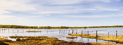 Word Signs - Australian mangrove landscape panorama by Jorgo Photography