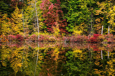 Road And Street Signs - Autumn at Mendon Ponds  by Sara Frank