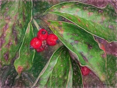 Watercolor Dragonflies - Autumn Berries by Bellesouth Studio