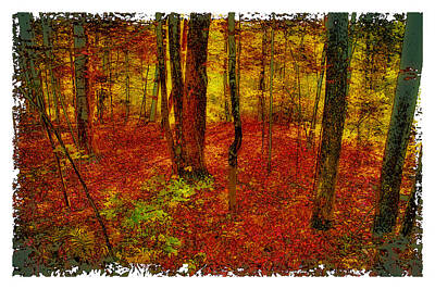 Abstract Landscape Photos - Autumn Carpet by David Patterson
