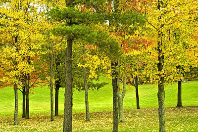 Randall Nyhof Royalty Free Images - Autumn Colors in Michigan Royalty-Free Image by Randall Nyhof