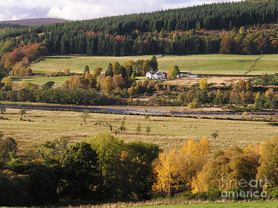 Vintage Diner Cars - Autumn colour on Speyside  by Phil Banks