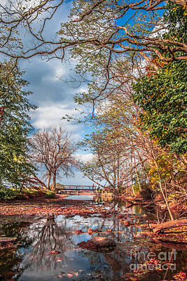 Frog Photography - Autumn in Webster Park by Ken Marsh
