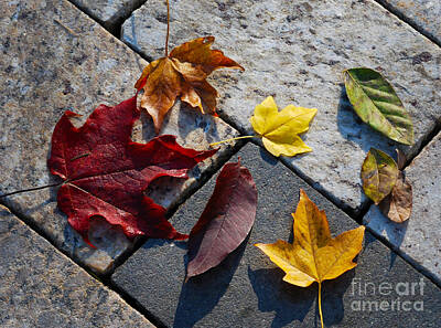 Watercolor Typographic Countries Royalty Free Images - Autumn Leaves on Rock Pathway Royalty-Free Image by Nancy Mueller