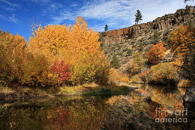 Abstract Graphics - Autumn Reflections In The Susan River Canyon by James Eddy