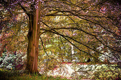Albert Bierstadt - Autumnal Colors in the Summer Time. De Haar Castle Park by Jenny Rainbow