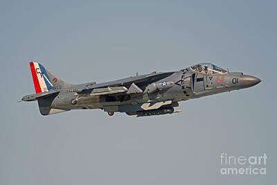 Lets Be Frank - Av-8b Harrier Flying Over Nellis Air by Phil Wallick