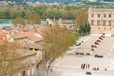 Abstract Animalia - Avignon France view from the roof of Popes Palace by Marek Poplawski