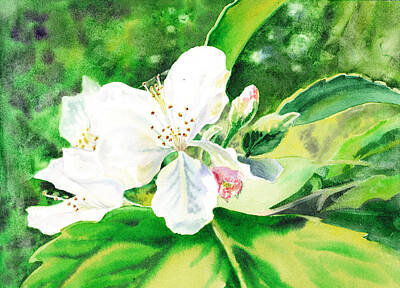 Food And Beverage Paintings - Awesome Apple Blossoms by Irina Sztukowski