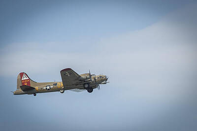 Stellar Interstellar Rights Managed Images - B-17 Flying Fortress Monmouth NJ Royalty-Free Image by Terry DeLuco