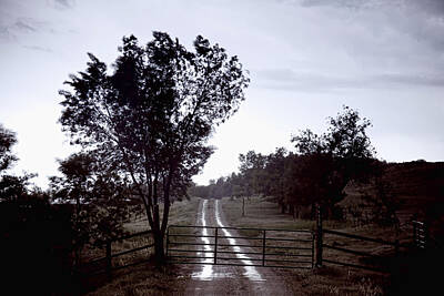 James Bo Insogna Rights Managed Images - Back Country Road And Then The Rain Came Royalty-Free Image by James BO Insogna