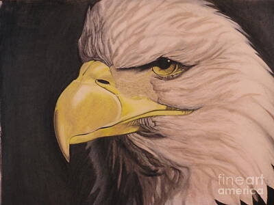Priska Wettstein Blue Hues - Bald Eagle by Wil Golden