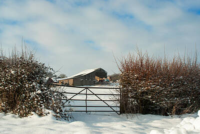 Lupen Grainne - Barn In The Snow by Steven Garratt