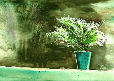 Queen - Bay window plant by Anil Nene