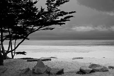 Surrealism Rights Managed Images - Beach Blacknwhite Carmel by Sea Royalty-Free Image by Randall Branham