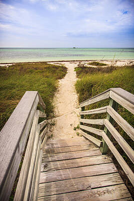Beach Royalty-Free and Rights-Managed Images - Beach Path by Adam Romanowicz