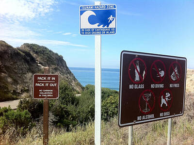 Frog Photography - Beach Signs San Clemente by Paul Carter