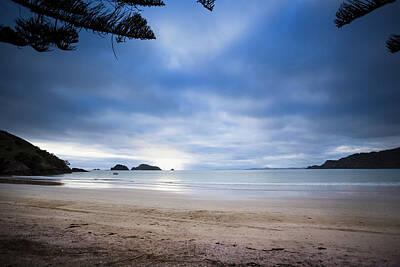 Travel Pics Royalty Free Images - Beachfront Camping In Matauri Bay Royalty-Free Image by Micah Wright