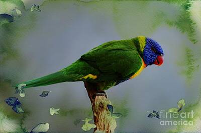 Back To School For Guys - Beautiful Colorful Bird 4 by Ben Yassa