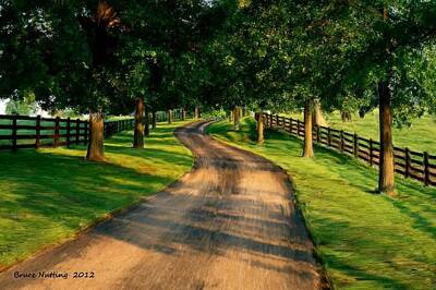 Fun Facts - Beautiful Country Road by Bruce Nutting