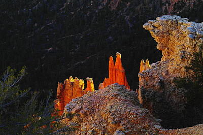 Game Of Chess - Beautiful Pinnacles At Bryce Canyon by Jeff Swan