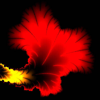 Floral Digital Art - Beautiful red and yellow floral fractal artwork square format by Matthias Hauser