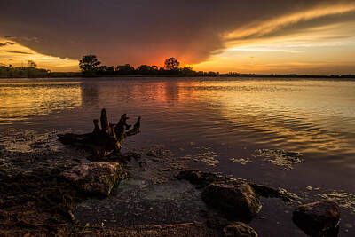 Mammals Royalty-Free and Rights-Managed Images - Beaver Lake Sunset by Aaron J Groen
