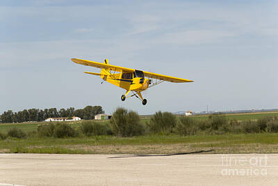 From The Kitchen - Bellota jet piper cub greath plane model landing by Stefano Piccini