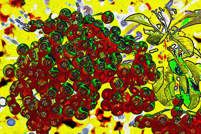Digital Art Rights Managed Images - Berries art Royalty-Free Image by David Pyatt