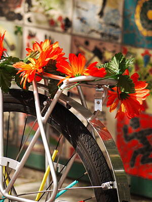 Baby Onesies Favorites Royalty Free Images - Bicycle Flowers Royalty-Free Image by Rae Tucker