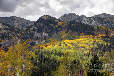 A Tribe Called Beach - Big Cottonwood Canyon in the Fall - Wasatch Mountains - Utah by Gary Whitton