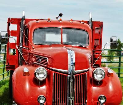 Colorful Abstract Animals - Big Red Farm Truck by Image Takers Photography LLC - Laura Morgan
