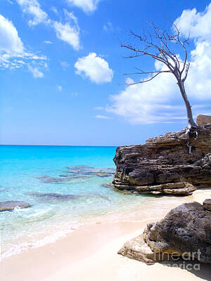 Beach Photo Rights Managed Images - Bimini Beach Royalty-Free Image by Carey Chen