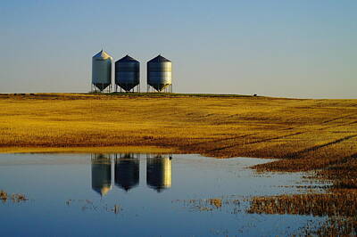 Birds Rights Managed Images - Bins Reflecting Off The Water Royalty-Free Image by Jeff Swan