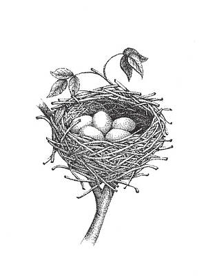 Animals Drawings Royalty Free Images - Bird Nest Royalty-Free Image by Christy Beckwith