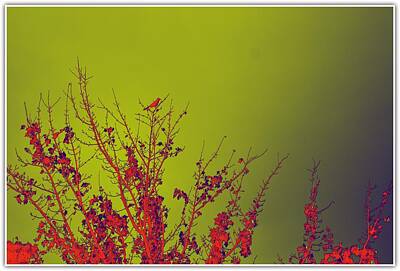 Studio Graphika Literature - Bird of Autumn   by Sonali Gangane