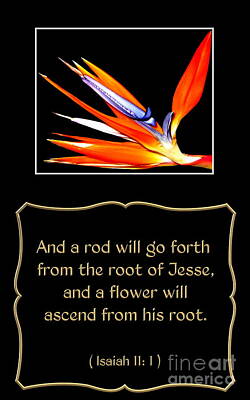 The Beatles - Bird of Paradise Flower with Bible Quote from Isaiah by Rose Santuci-Sofranko