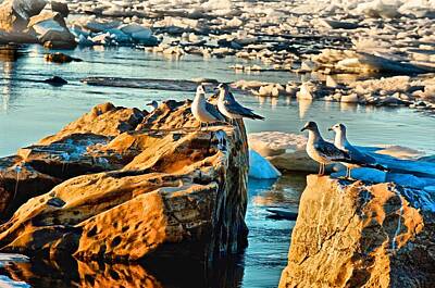 Lego Art - Birds on Rocks with Ice by Larry Jost