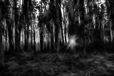 Legendary And Mythic Creatures Rights Managed Images - Black and white monochrome Artistic painterly Sun between trees  Royalty-Free Image by Leif Sohlman
