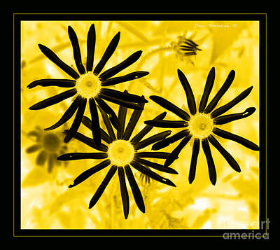 Floral Photos - Floral - Black And Yellow by Lone Palm Studio