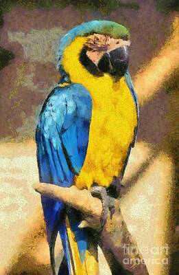 Af One - Blue and Gold Macaw by George Atsametakis