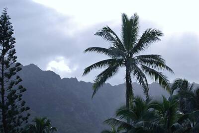 Landscapes Kadek Susanto - Blue Hawaii by Angela Deiss