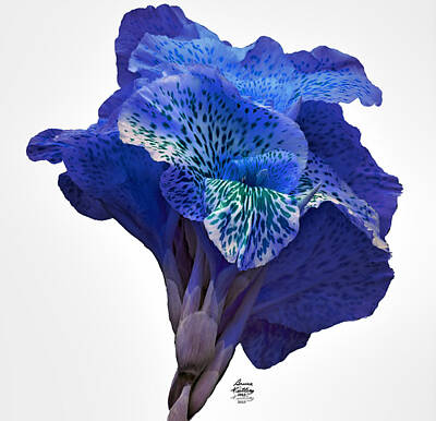The Bunsen Burner - Blue HDR Iris by Bruce Nutting