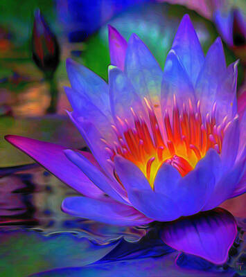 Lilies Paintings - Blue Lotus by Byron FLi Walker
