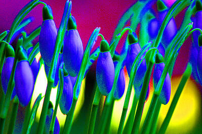 Abstract Flowers Digital Art Royalty Free Images - Blue snowdrops Royalty-Free Image by Carol Lynch