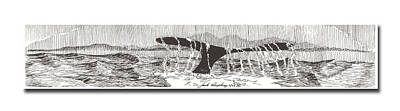Animals Drawings - Whales Tail by Jack Pumphrey