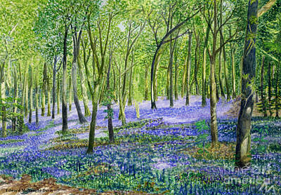 Fromage - English Bluebell Flower Fairy Picture by Edward McNaught-Davis