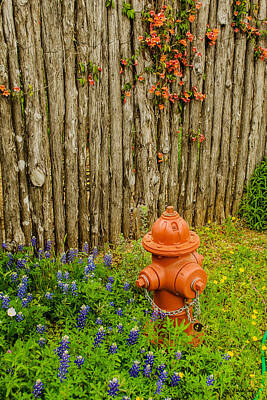 Luck Of The Irish - Bluebonnets with Hydrant and Fence by Allen Sheffield