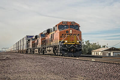 Sultry Plants - Bnsf 8145 by Jim Thompson