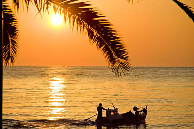 All Black On Trend - Boat at sea Sunset golden color with palm by Raimond Klavins